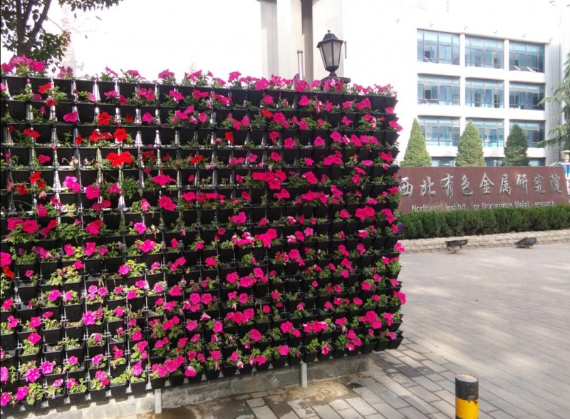立体绿化 (3)