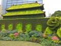 上津古城街头植物造型 (2)